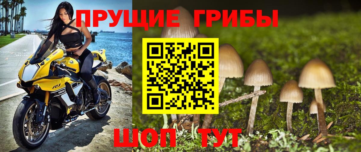 Псилоцибиновые грибы прущие грибы  Вход с VPN  Галлюциногенные грибы ЛСД  Мончегорск 
