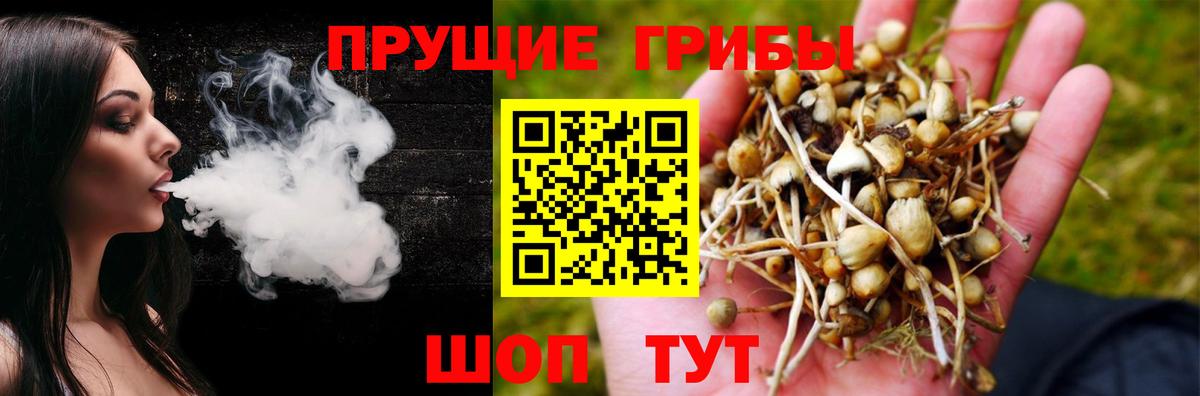 Галлюциногенные грибы Psilocybe Мончегорск